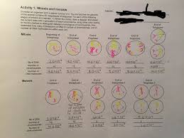 Coloring activities, video project ideas, and animations for teaching cell division. Cell Cycle I Ve Attempted The Activty But Wanted To Chegg Com