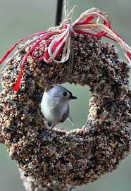 The Garden Roof Coop Diy Birdseed Wreaths Homemade Bird Feeders Bird Seed Ornaments Bird Seed Wreath Recipe