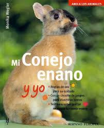 The ____ cat, the _____ jacket i hope you enjoy! Free Mi Conejo Enano Y Yo Amo A Los Animales Pdf Download Chetanabdu
