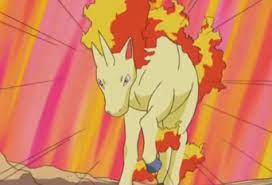 Terms of use for gallop.co.za. Gallopa Anime Pokewiki