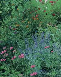 Check spelling or type a new query. Drying Flowers In Sand Finegardening