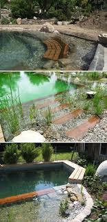 Natural Swimming Pool With Hidden Benches Pool Naturalpool Natural Swimming Pools Natural Swimming Ponds Swimming Pools Backyard