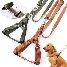 kupit tovar 2 5 120 sm nejlonovyj povodok sobaki zhgut zootovarov bolshoj oshejnik vysokoe kachestvo aksessuary large dog collars big dog collars big dog harness