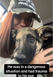 Ashley Ann Wacker (@knoxandwack)