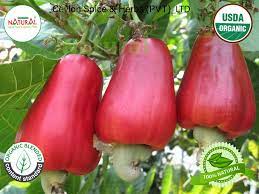 Pin On Color Explosion Fruits N Veggies