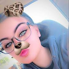 What is the best food for a husky?