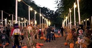 Pumpkin Patches And Corn Mazes In The Bay Area Sf Station