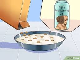 Set out a stainless steel bowl for food and another one for water, and be sure to provide quality puppy food, fresh water, and healthy treats. How To Wean Puppies 10 Steps With Pictures Wikihow