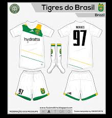 Tigres do brasil fc entre as 24 melhores equipes da copa do brasil. Ec Tigres Do Brasil Rebrand On Behance