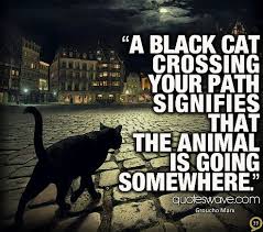 A Black Cat Crossing Your Path Signifies That The Animal Is Going Black Cat Cats Black Cats Rock