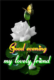 Good Evening Saved By Sriram Good Evening Good Evening Greetings Good Evening Wishes Almost files can be used for commercial.
