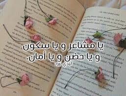 شعر عن حضن الحبيب رومانسي ليدي بيرد