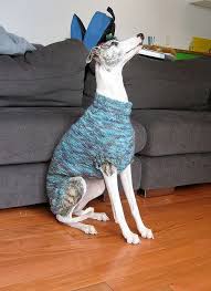 Check spelling or type a new query. Pin On Free Knitting Patterns