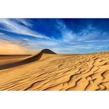 Image result for Sahara Sand 1961 Imperial