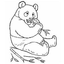 Big wave on the sea. Top 25 Free Printable Zoo Coloring Pages Online Zoo Coloring Pages Zoo Animal Coloring Pages Bear Coloring Pages