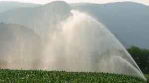 Trend Google: agricoltore