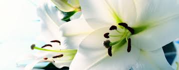 Maybe you would like to learn more about one of these? Wrongful Death Attorney In Nashville Tn Cummings Law