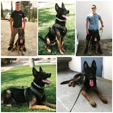 Thank you everyone for your...