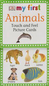 Maybe you would like to learn more about one of these? My First Touch Feel Picture Cards Animals My 1st T F Picture Cards Dk Publishing 0884954258126 Amazon Com Books
