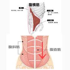 ILC国際腰痛クリニック