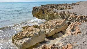We did not find results for: Blowing Rocks Preserve Florida Hikes