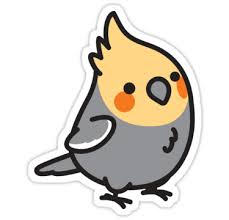 Pin On Parrot