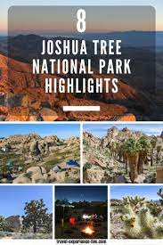 13 Best Things To See Do In Joshua Tree National Park California Joshua Tree National Park Joshua Tree California National Parks