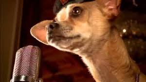 Me he movido por diferentes restaurantes a lo largo de todo este tiempo en taco bell y en todos los restaurantes hemos tenido un buen ambiente de trabajo. Taco Bell Commercial Viva Gorditas 1998 Youtube