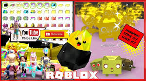 All assassin promo codes valid and active codes not many valid codes yet, but you can already claim some pets and knifes: Pet Simulator Roblox