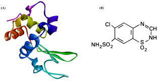 Image result for Chlorothiazide
