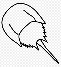 Supercoloring.com is a super fun for all ages: Horseshoe Crab Clipart By Gosc Horseshoe Crab Coloring Page Free Transparent Png Clipart Images Download