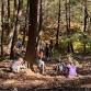 Hike and Seek: Shelter Building at Retreat Farm event image