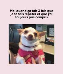 Tag la personne qui comprend jamais rien 😂 #drole #humour #meme  #sourireforcé