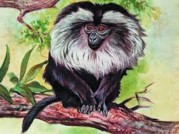 22 extinct animals we've lost in the past 150 years. Too Little Too Late Restoring Extinct Species Would Take At Least 8 Mn Years The Economic Times