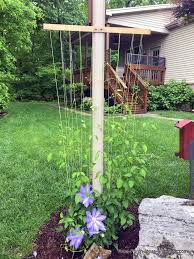 Trellises come in many shapes and sizes but few have withstood the test of time like the traditional fan trellis design. Flower Pot Trellis Ideas