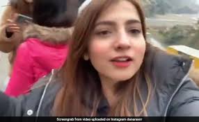 How do i make my instagram reel viral? Dananeer Mobeen Viral Video Brands Join The Pawri As Pakistani Influencer S Video Goes Viral
