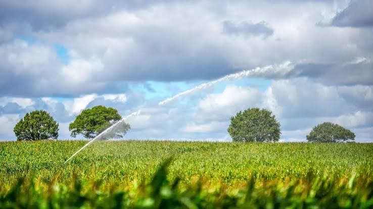 Afghanistan, 5 milioni di euro da UE e FAO per rafforzare la resilienza agricola