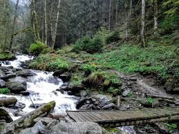 Sambăta de sus brașov wikipedia. Cabana Valea Sambetei Traseu De PrimÄvarÄ CÄlÄtoriile Ioanei