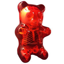 Anatomy Gummy Bear Gummies Gummy Bears Inked Shop