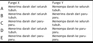We did not find results for: 20 Contoh Soal Hots Sistem Sirkulasi Part Ii Kumpulan Soal Biologi Sistem Sirkulasi Kelas Xi