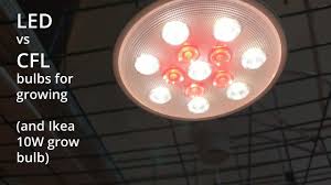 Check spelling or type a new query. Household Bulbs Light Output Ppfd Test Of Led Cfl Ikea Grow Bulb Youtube