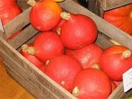 Recolter Et Conserver Les Courges Potimarron Idee Legume Courge
