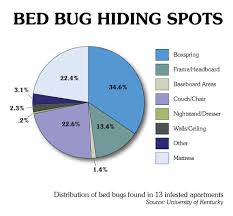 bed bugs archives jeffrey sterling md