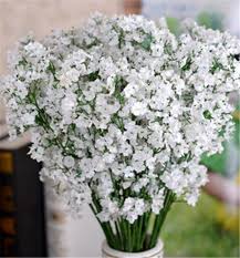 Check spelling or type a new query. Buy Dropship Products Of Gypsophila Babys Breath Artificial Fake Silk Flowers Plant Home Wedding Decoration In Bulk From Decorative Flowers Wreaths Dhgate Com