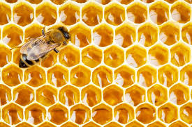 It's time to take your productivity to the next level. Introduction To Hive A Beginners Guide To Coding In Hive By Angel Das Towards Data Science