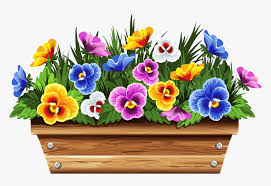 Shop our best selection of window box planters & flower boxes to reflect your style and inspire your outdoor space. Potted Plants Clipart Planter Box Window Flower Box Clipart Hd Png Download Kindpng