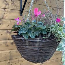 We did not find results for: Window Boxes Ni Handmade Window Boxes And Gift Planters