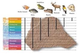 Prodigy Science Fossil Record