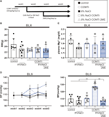 Image result for COMT Inhibitor