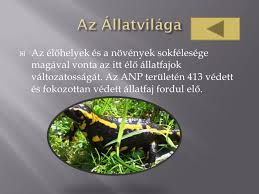 Jun 18, 2021 · (fotó: Aggteleki Nemzeti Park Ppt Letolteni